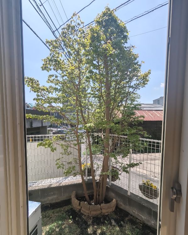 1000008757.jpg 1000008757.jpg